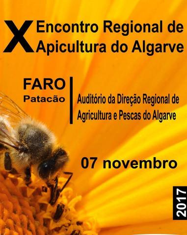 cartaz cartaz