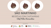 castanha