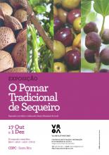 cartaz cartaz